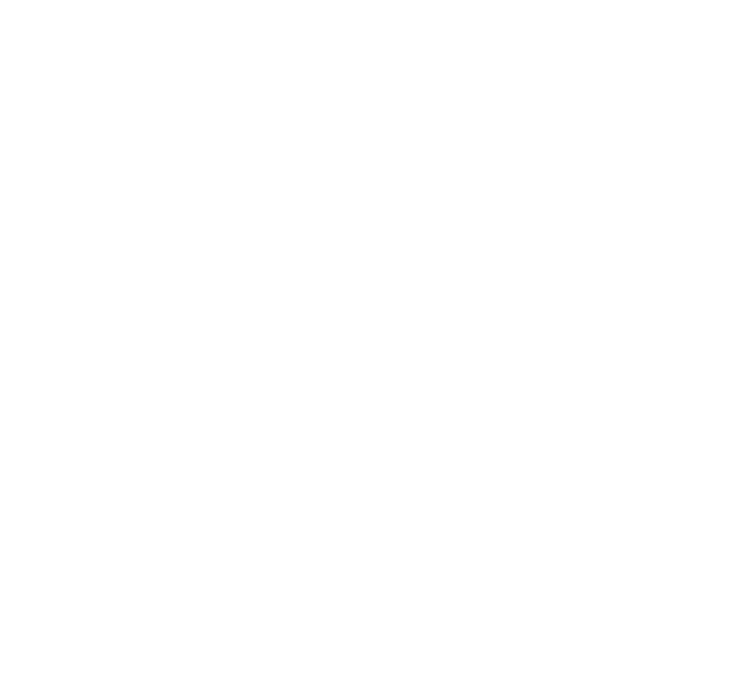 Simujob IES Alfonso VIII